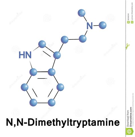 N,N-Dimethyltryptamine is a Psychedelic Stock Vector - Illustration of biochemical, ayahuasca ...