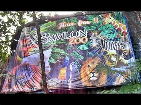 Avilon Zoo | Rizal - YouTube