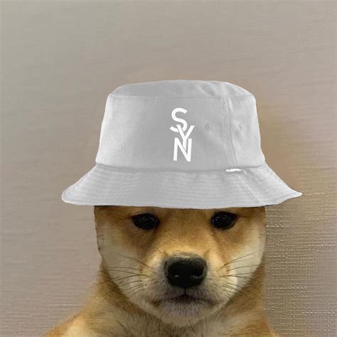 Dog With Hat Profile Picture - splashstory