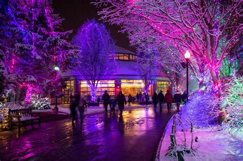 Columbus Zoo Christmas Lights 2024 Tickets - Lilli Stephenie