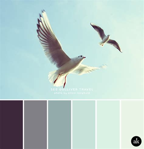 a seagull-inspired color palette — Akula Kreative | modern brands that delight in the details ...