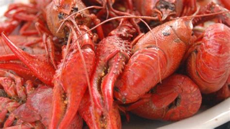 Boiled Crawfish Recipe - Allrecipes.com