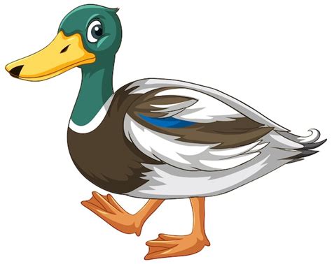 Duck Clip Art Images - Free Download on Freepik