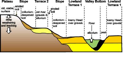 Describe the Process of Soil Formation