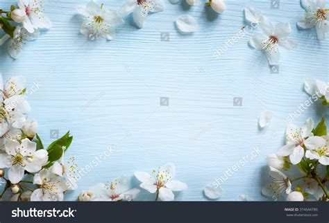 Spring Border Background White Blossom Stock Photo 374644780 | Shutterstock