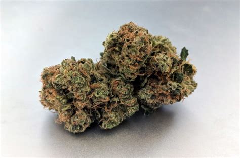 Fish Scale Marijuana Strain Information & Reviews | AllBud