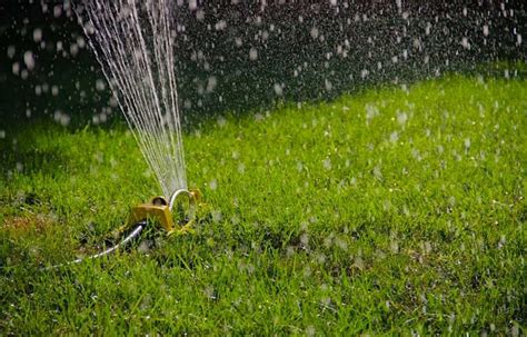 This tip can help you keep your lawn green all throughout the year