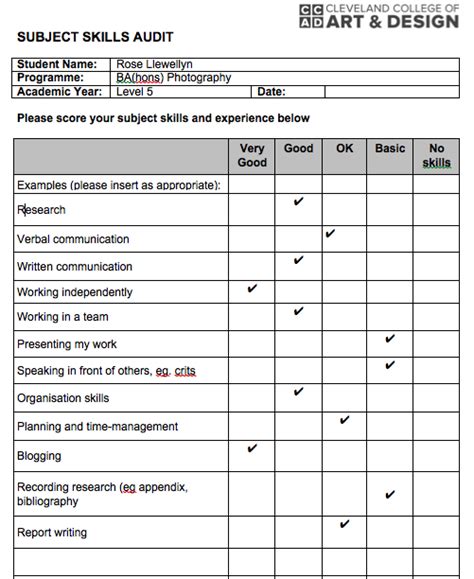 Rose Llewellyn Photography: Skills Audit Form