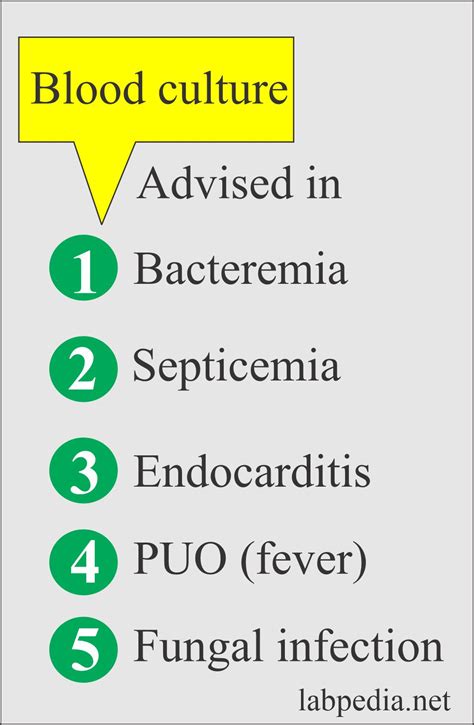 Blood Culture, its Procedure and Interpretations - Labpedia.net