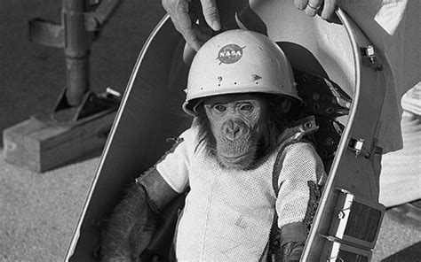 Iranian monkey launch ‘a publicity stunt,’ Israeli space expert says | The Times of Israel