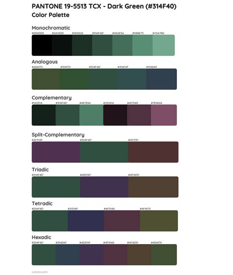 PANTONE 19-5513 TCX - Dark Green color palettes - colorxs.com