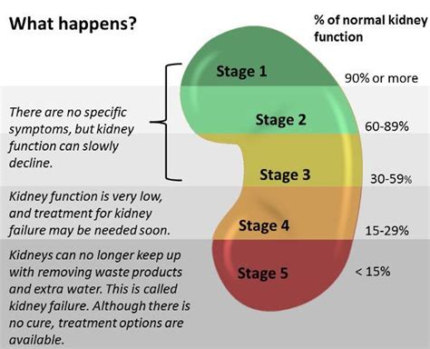 A Cause of a Lowered eGFR that is Reversible – Life and DIY