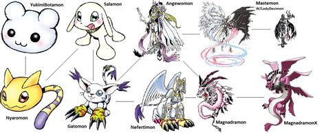 Gatomon Digivolution Line