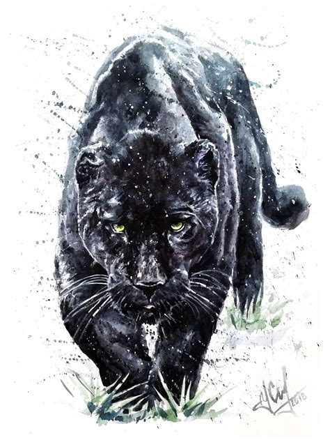 panther, black, watercolor, jaguar, background, animal, white, wildlife ...