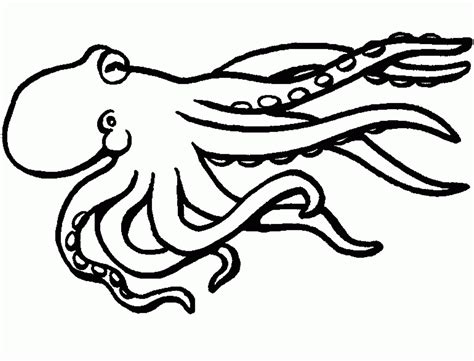 Octopus Outline Drawing at GetDrawings | Free download