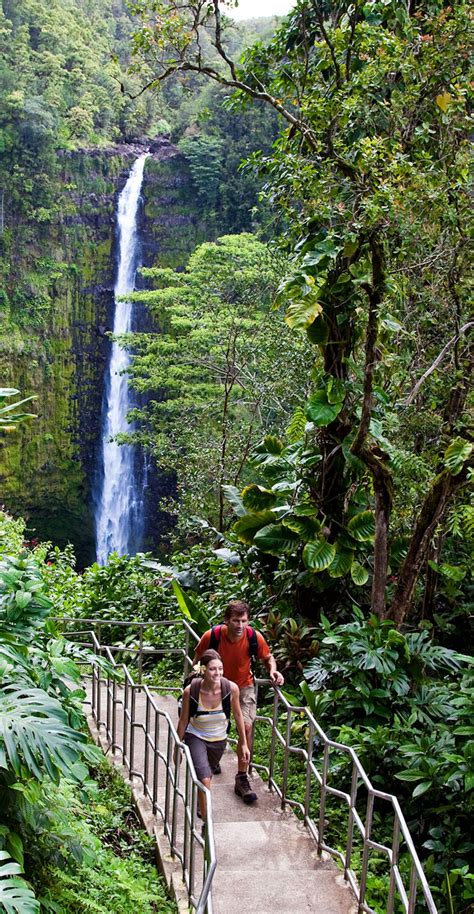 Hike to Akaka Falls on the Big Island of Hawaii | Big island hawaii, Hawaii vacation, Hawaii island