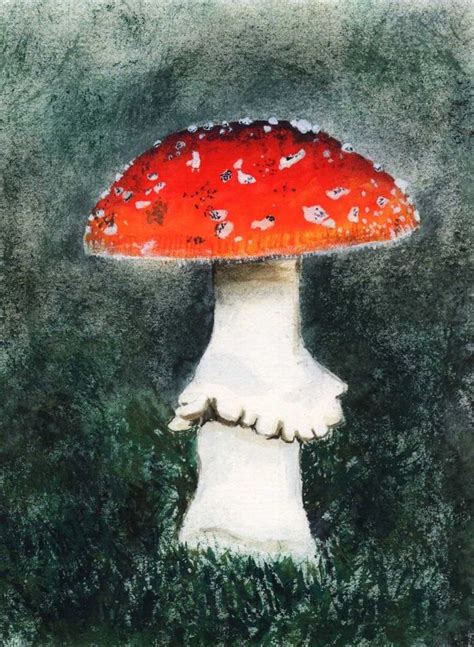 Toadstool by Moosweibchen on DeviantArt | Toadstool, Watercolor, Art