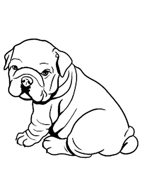 Cute English Bulldog Coloring Pages Coloring Pages