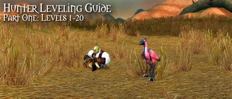 Hunter Leveling Guide: Levels 1 - 20