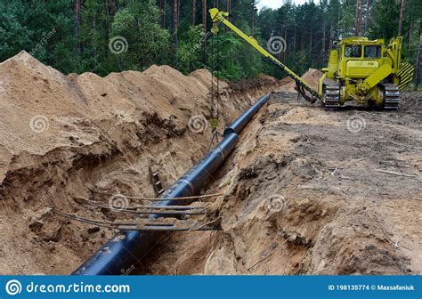 Natural Gas Pipeline Construction Work in Forest Area. Installation of ...