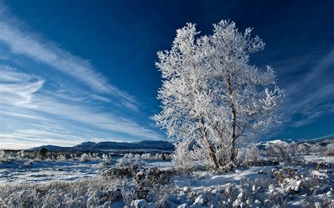 beautiful blue winter sky - Image Abyss