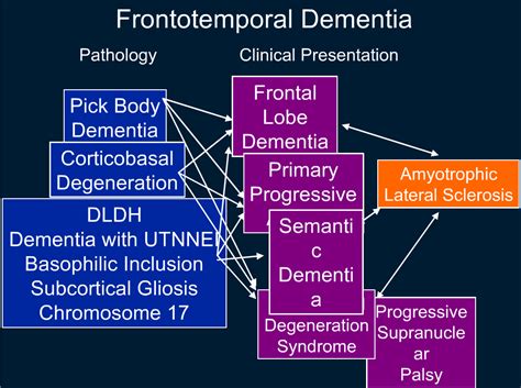 rsna: FDG PET for dementia