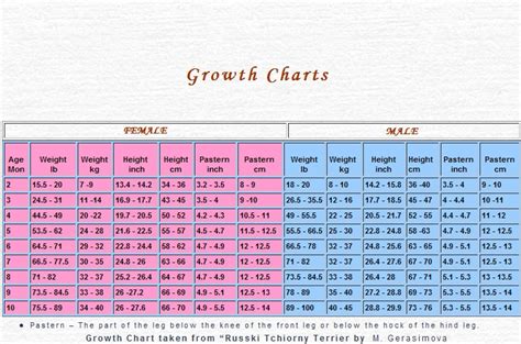 Great Pyrenees Growth Chart | AdinaPorter