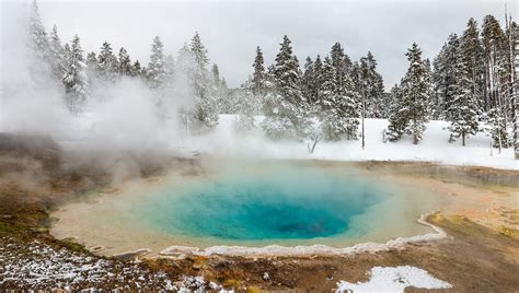 Yellowstone Winter Photography Workshop 2022