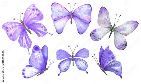 Set of watercolor purple butterflies. Stock Illustration | Adobe Stock