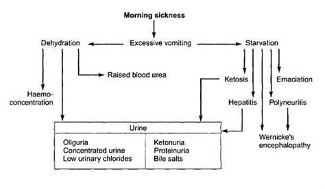 Hyperemesis gravidarum Treatment, Risk Factors, Causes, Diet, Symptoms and Signs - Jotscroll