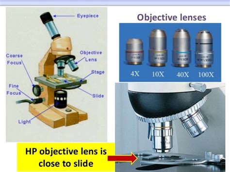 Microscope