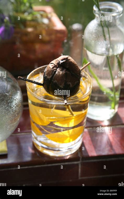 Avocado stone germinating in a glass of water on a kitchen window sill ...