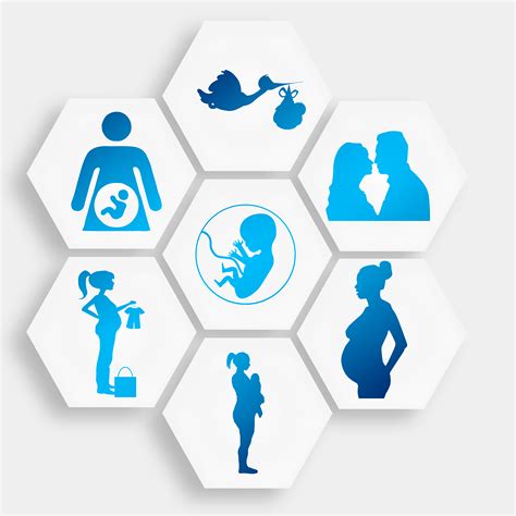 Prenatal Development | Lifespan Development