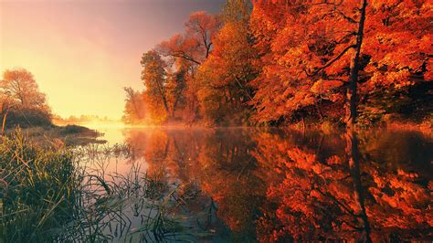 2560x1440 Trees Fall Reflection Autumn 4k 1440P Resolution ,HD 4k ...