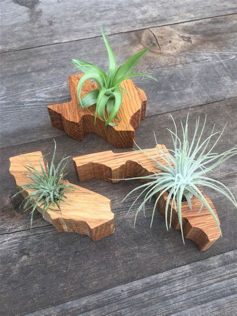 Cute air plant holders in solid reclaimed oak. Check them out @ www.etsy.com/shop/chicowoodart ...