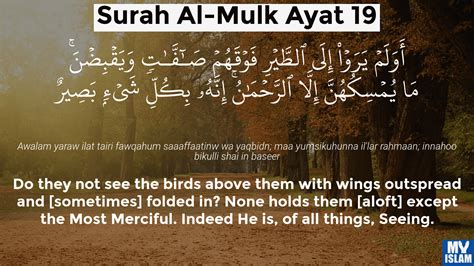 Surah Al-Mulk Ayat 19 (67:19 Quran) With Tafsir - My Islam