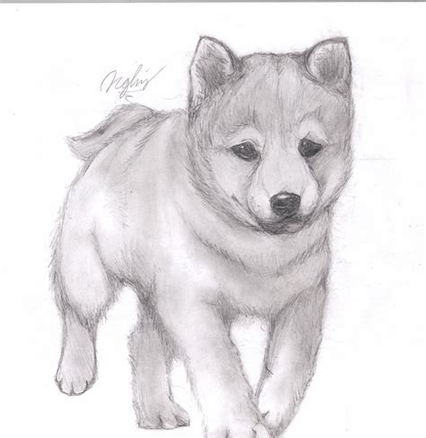 Cute Puppy Sketch at PaintingValley.com | Explore collection of Cute ...