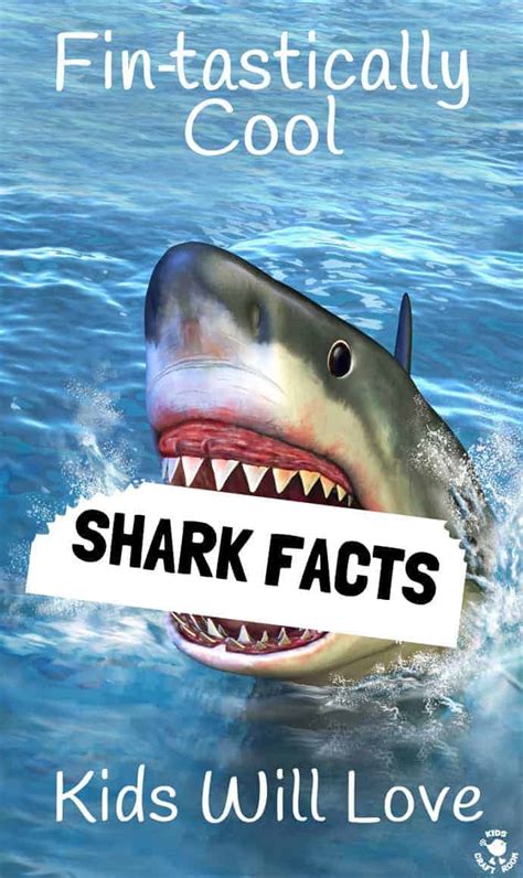 Cool Shark Facts Kids Will Love - Kids Craft Room