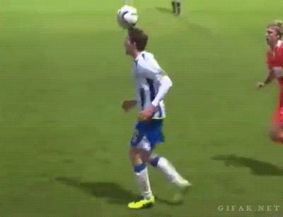 gif (400×308) Bahaha, Lol, Fighting Gif, Sports Memes, Hilarious, Funny, Human Body, Best Dogs ...