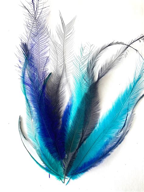 Cruelty free emu feathers . 20 assorted aquamarine blue blend | Etsy