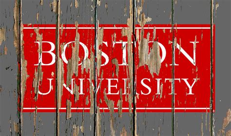 Boston University Vintage College Logo Barn Wood Peeling Paint Mixed ...