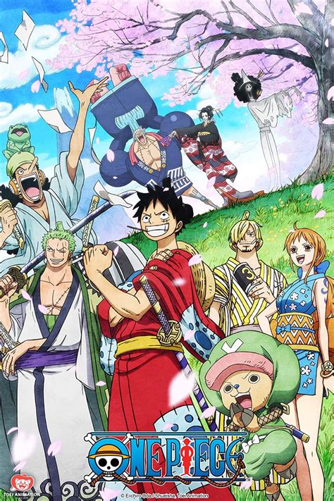 One Piece: The Next Straw Hats Alliance, Explained