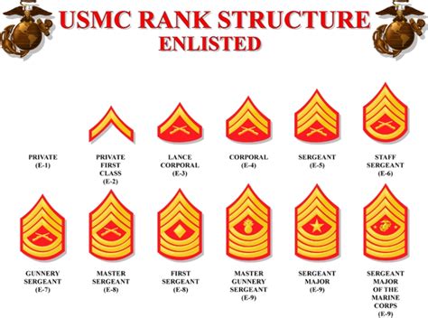 Enlisted Rank Structure | USMC Guide