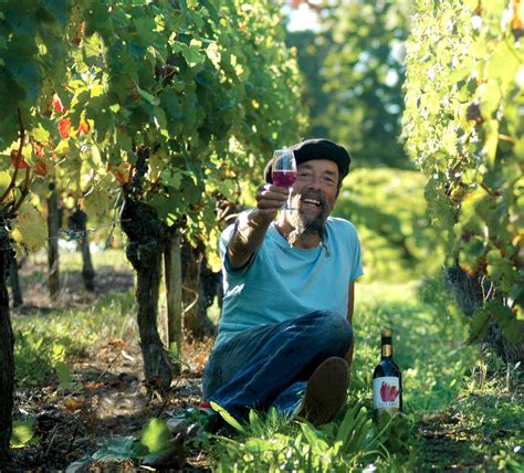 Ilja Gort in eigen wijngaard. Grape Picking, Fruit Picking, Wine Vineyards, Winery, Provence ...