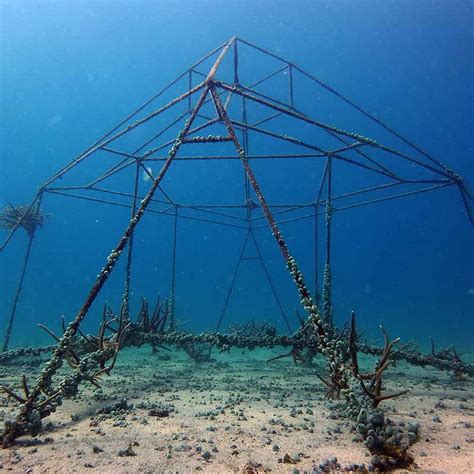 Artificial Reefs - Eco Koh Tao - Building underwater ecosystems