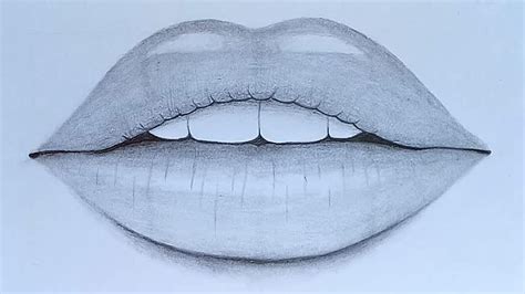 How to draw Lips with pencil sketch step by step - YouTube