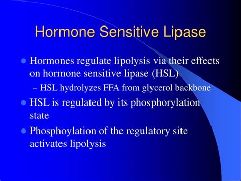 PPT - Lipid Metabolism During Exercise PowerPoint Presentation - ID:1413797