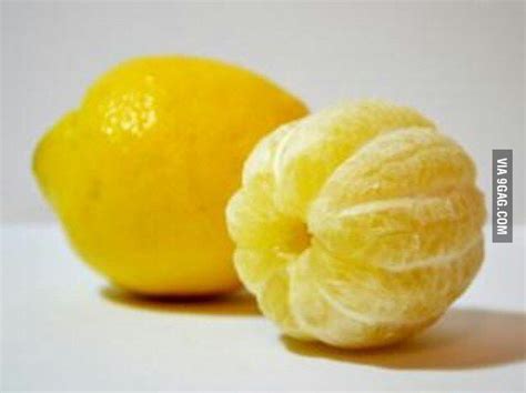 Ever seen peeled lemon? - 9GAG