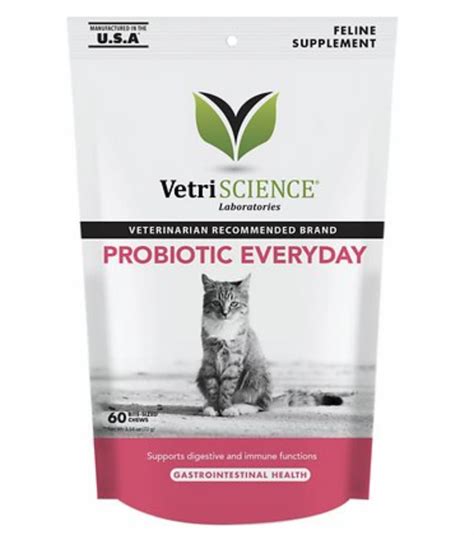 Probiotics for Cats: 3 Great Options for Your Feline’s Gut | Great Pet Care