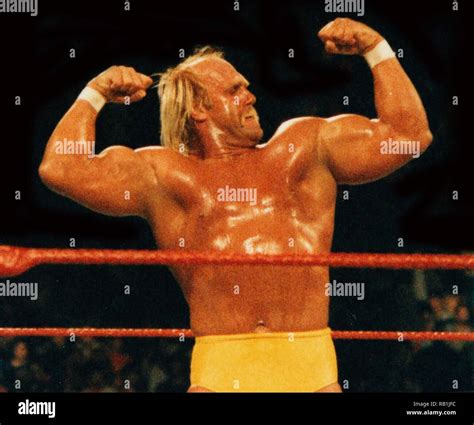 Hulk hogan undated hi-res stock photography and images - Alamy